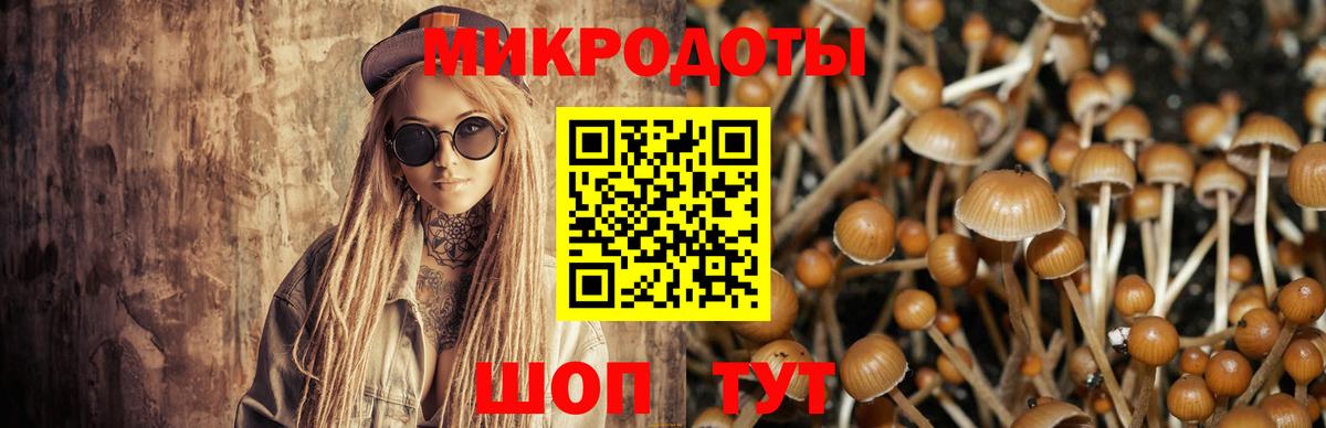 Псилоцибиновые грибы ЛСД  Псилоцибиновые грибы GOLDEN TEACHER  Амурск  Вход с VPN 